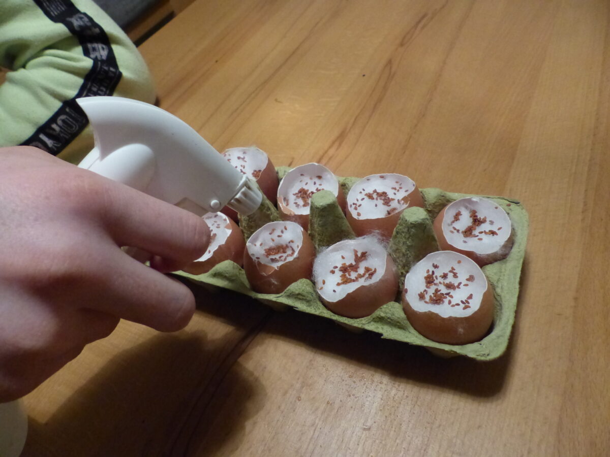 Deko-Idee: Kresse-Eier für den Oster-Brunch - LEITERMANN Blog für ... Deko-Idee: Kresse-Eier für den Oster-Brunch - LEITERMANN Blog für ...