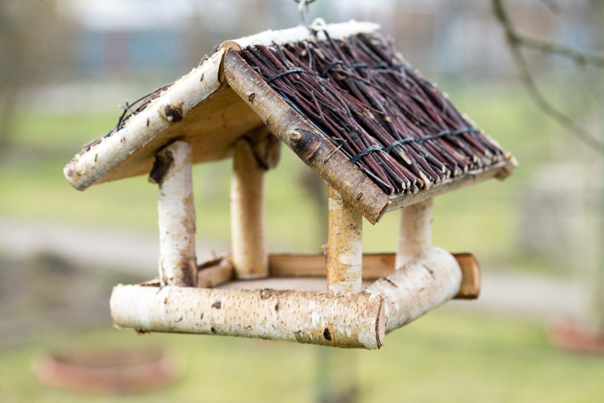 Ein Vogelhaus selbst bauen