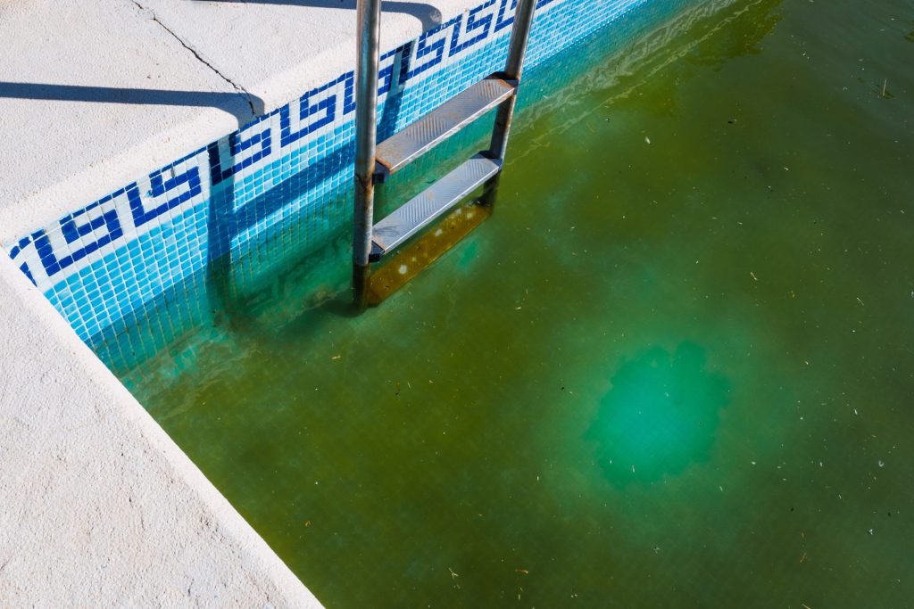 Mit Algen befallener Pool | Foto: stock.adobe.com