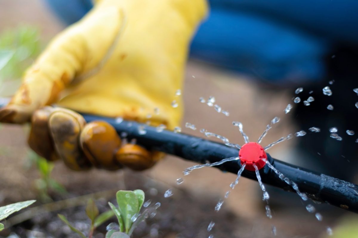 Den Garten automatisch bewässern mit Tröpfchenbewässerung | Foto: stock.adobe.com
