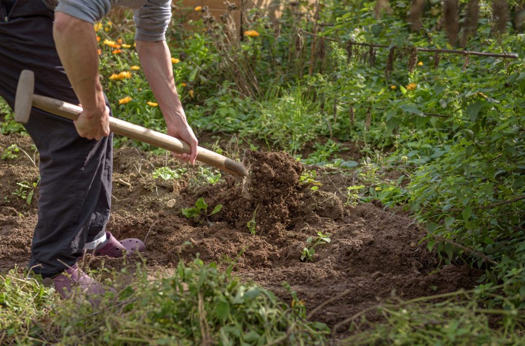 Körperliche Belastungen bei Hausbau und Gartenarbeiten: Tipps für ein gesundes Arbeiten gardening 4545662 Bild von Andreas Goellner auf Pixabay