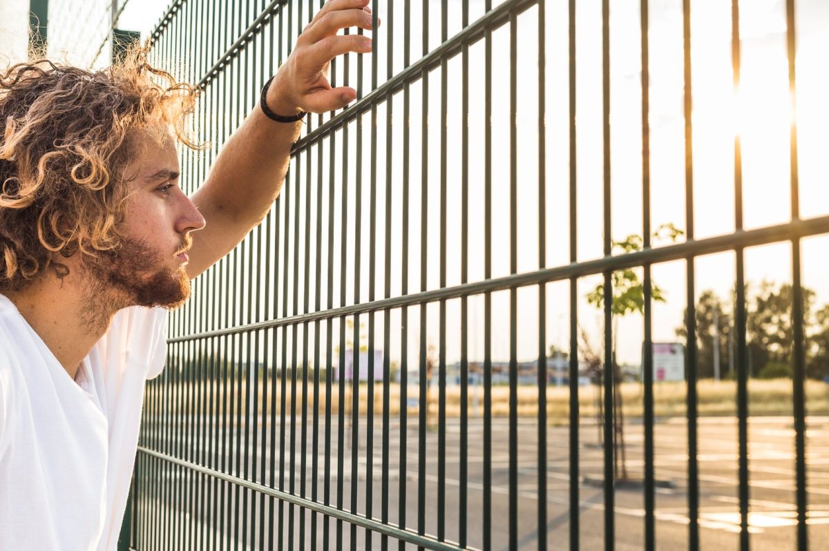 Doppelstabmattenzaun selbst montieren – DIY mit Bauanleitung