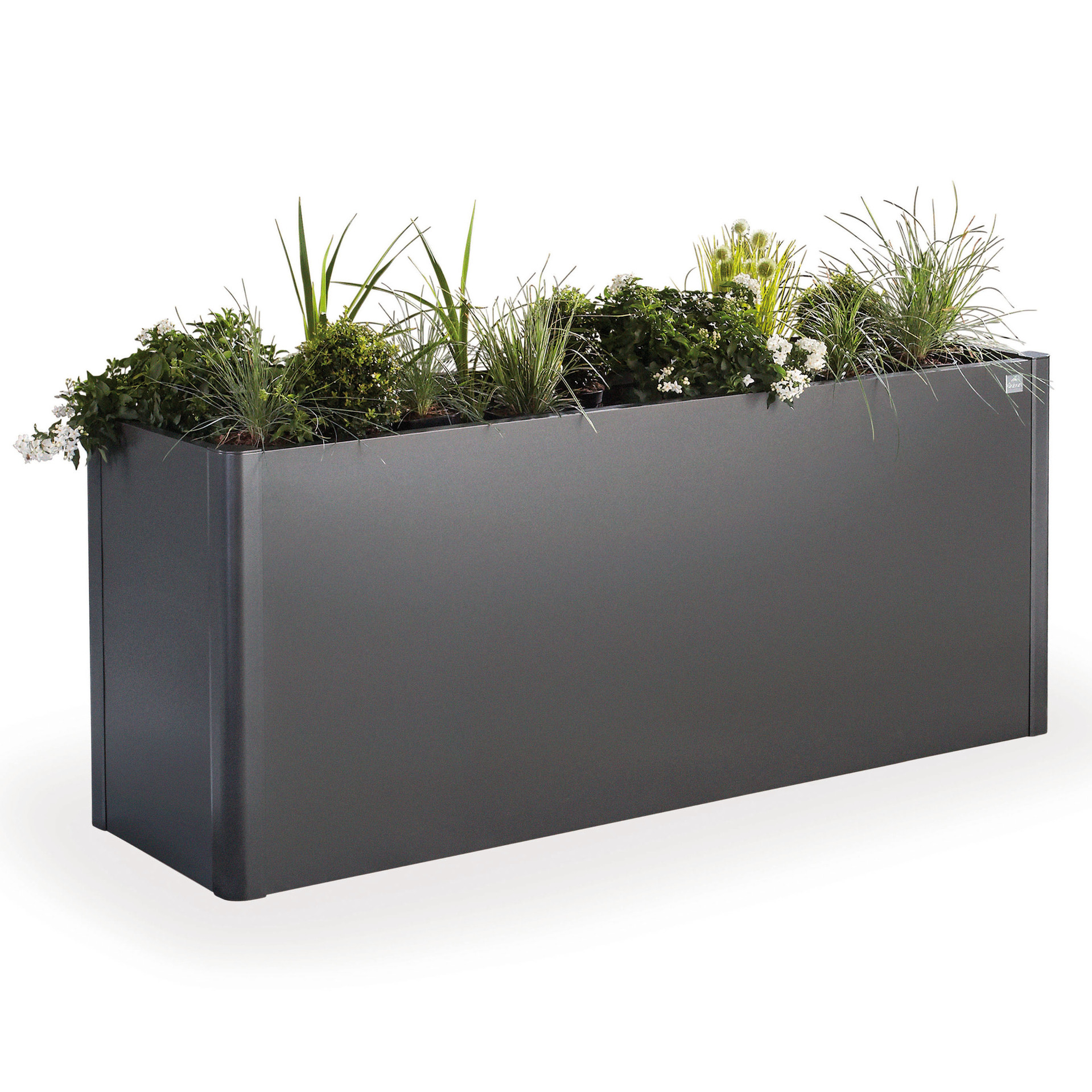 Pflanzbeet Belvedere Maxi