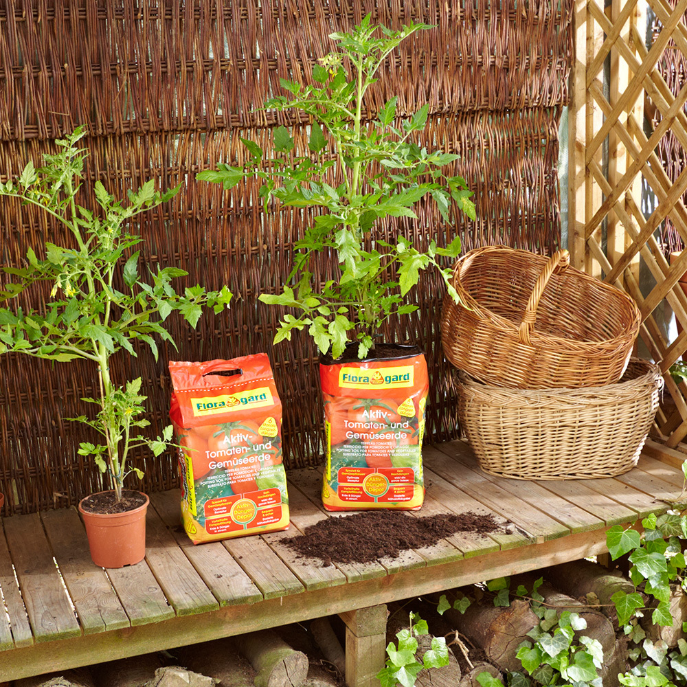 Aktiv Tomaten- und Gemüseerde bei leitermann.de günstig kaufen Aktiv Tomaten- und Gemüseerde