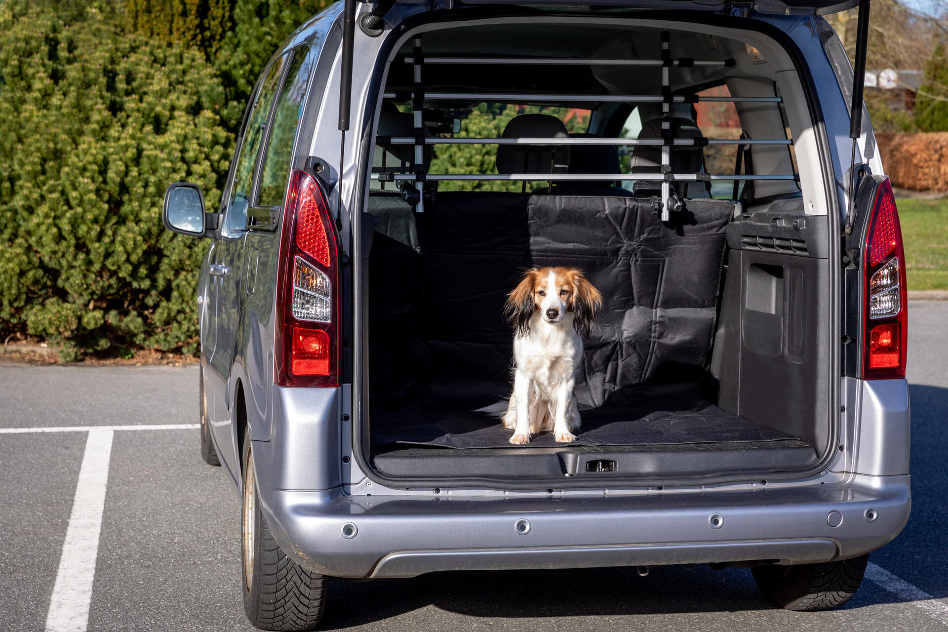 Auto-Gitter bei leitermann.de günstig kaufen Auto-Gitter
