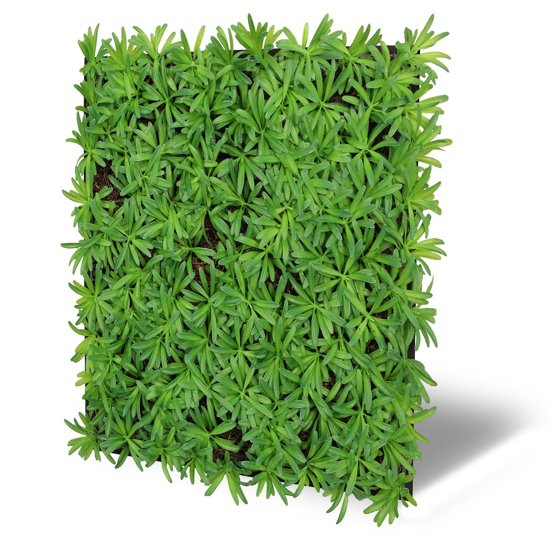 Wandpaneel Modular Wall Flora