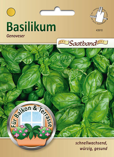 Basilikum - Genoveser / Ocimum basilicum