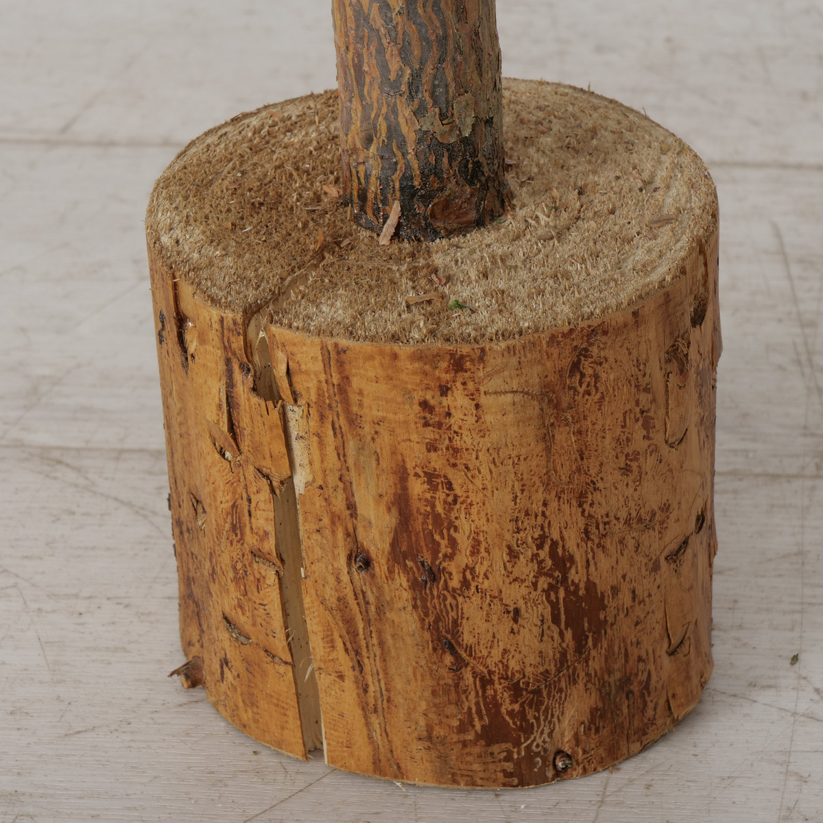 Weihnachtsbaum Jakub