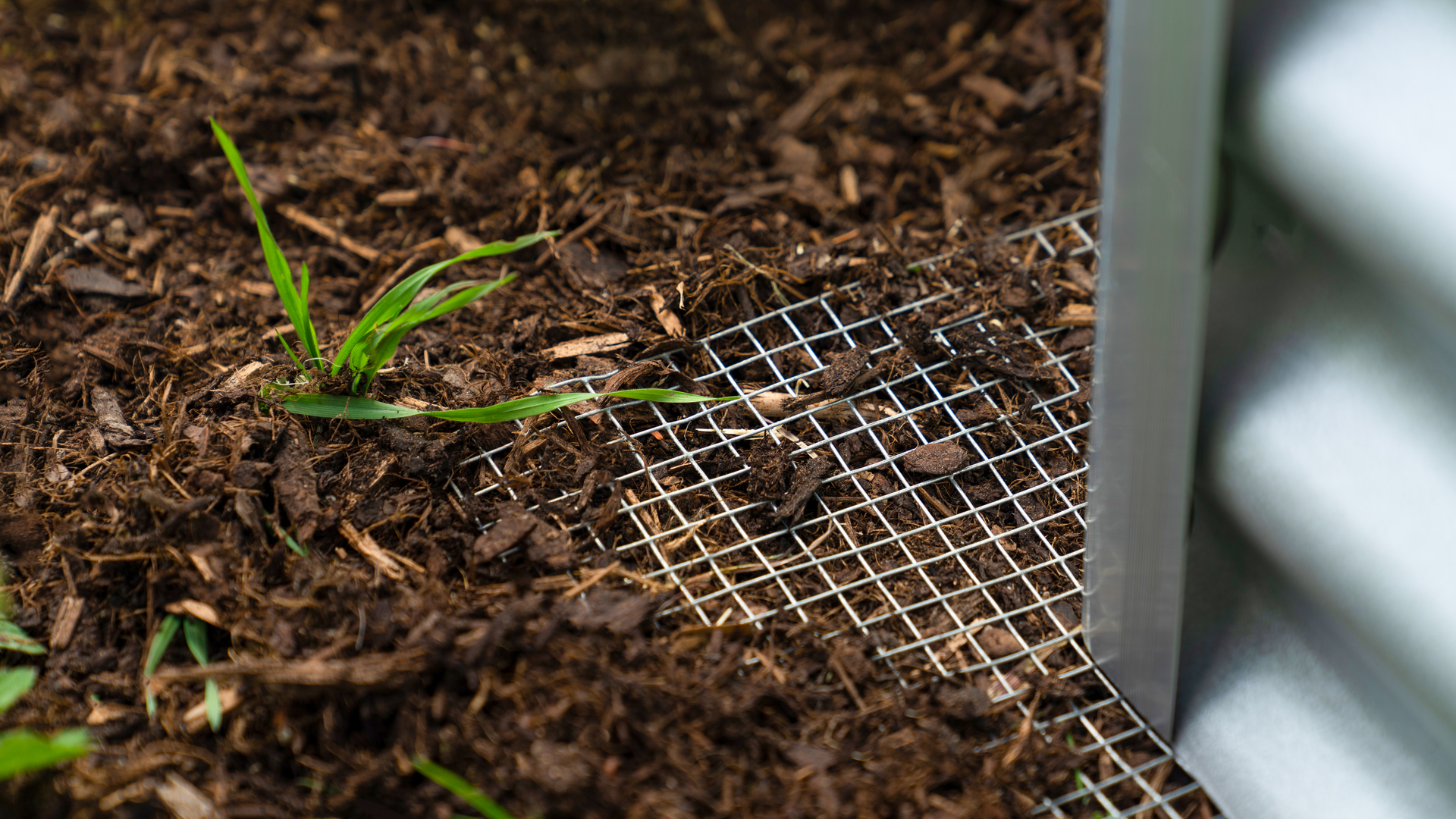 Drahtgeflecht Draneo für Hochbeet