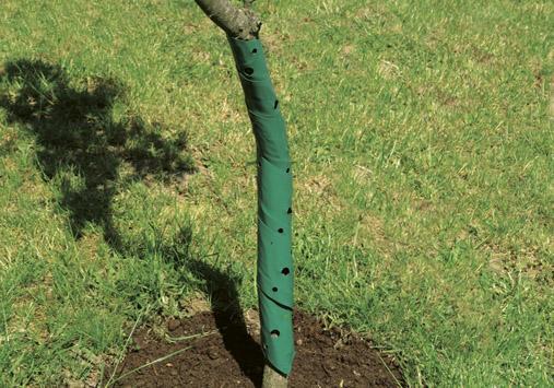 Baumschutzspirale 2er 60 cm
