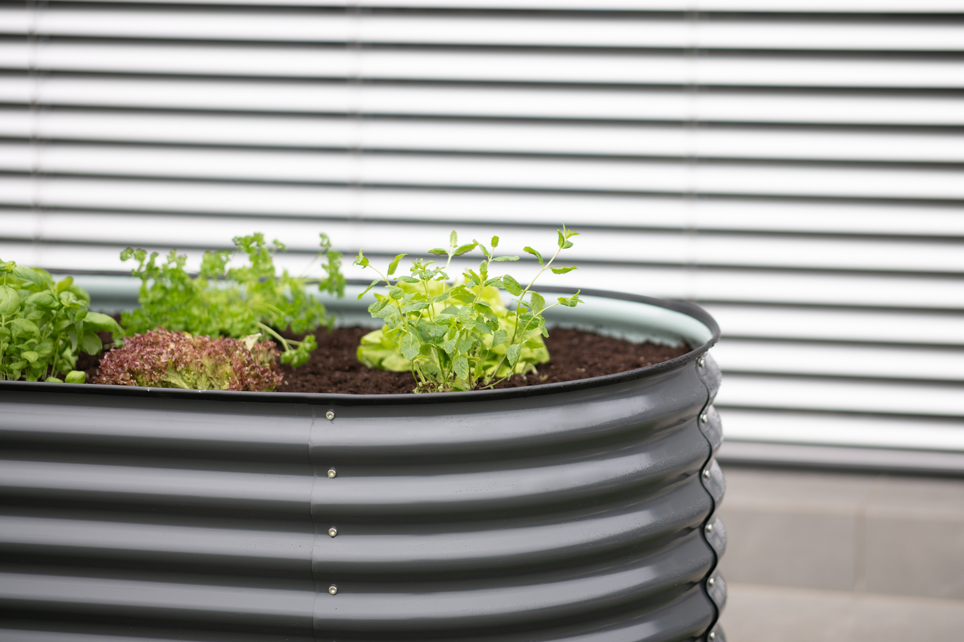 Metall Hochbeet Oval 240 cm bei leitermann.de günstig kaufen Metall Hochbeet Oval 240 cm