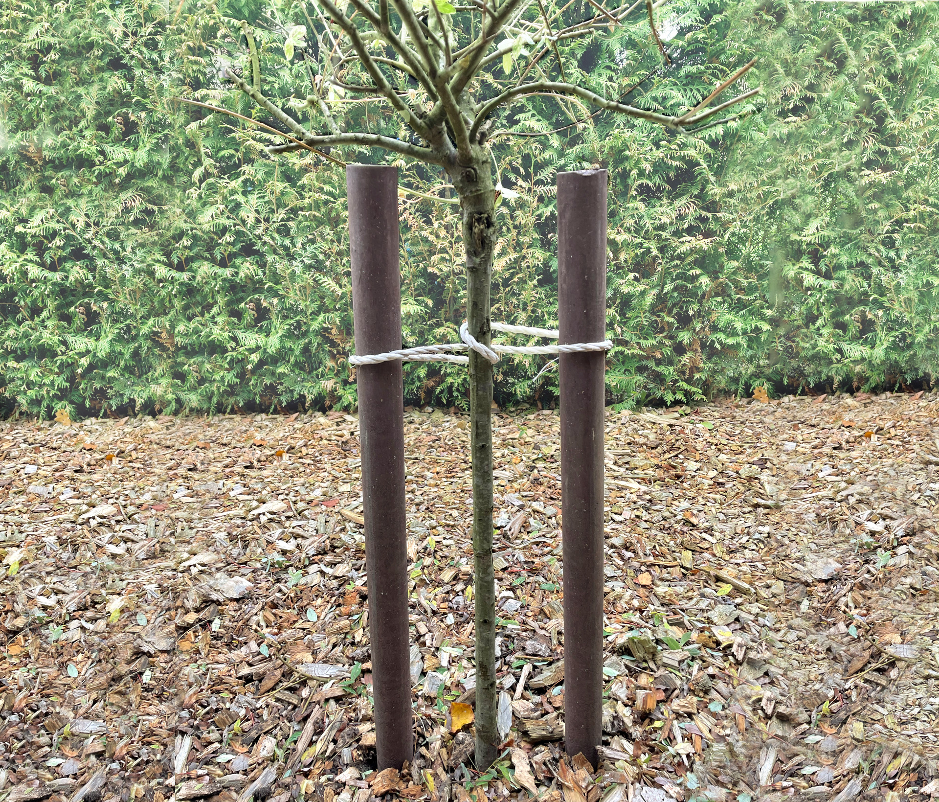 Baumpfahl Recyclingpfosten mit Spitze 1 Stk. bei leitermann.de günstig kaufen Baumpfahl Recyclingpfosten mit Spitze 1 Stk.