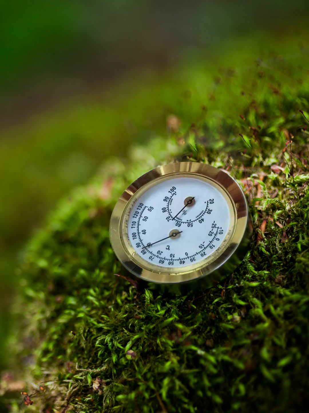 Hygrometer bei leitermann.de günstig kaufen Hygrometer