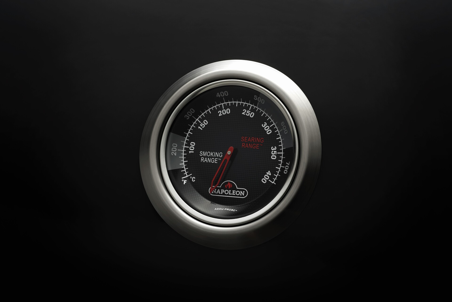 Napoleon Gasgrill Legend 365