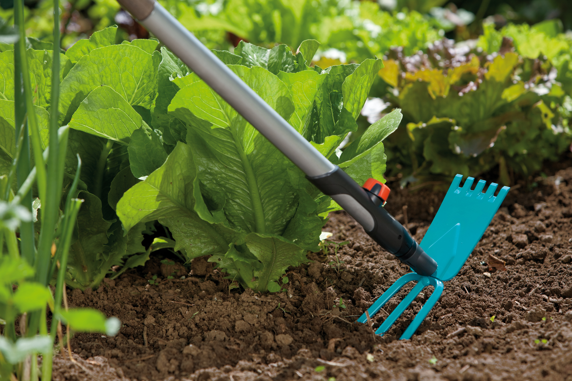 Combisystem-Gartenhacke Gerades Blatt, 3 Zinken