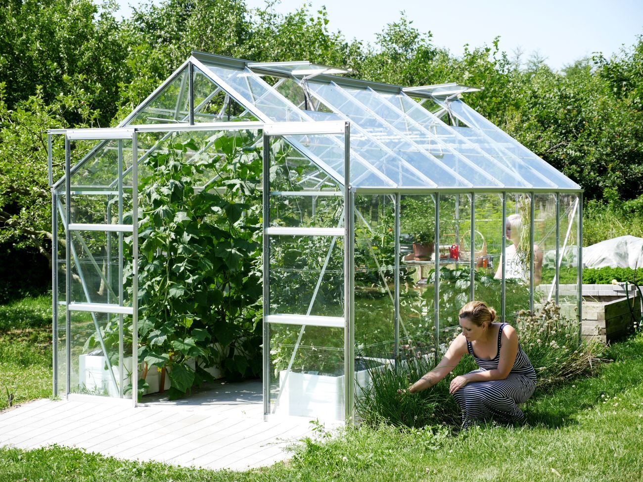 Gewächshaus Uranus 11500