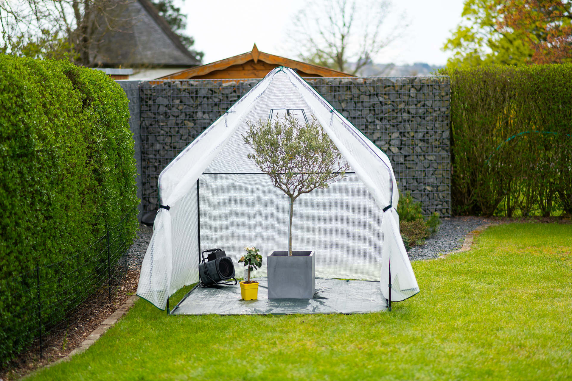 Foliengewächshaus Winterzelt mit Boden Peperoni bei leitermann.de günstig kaufen Foliengewächshaus Winterzelt mit Boden Peperoni
