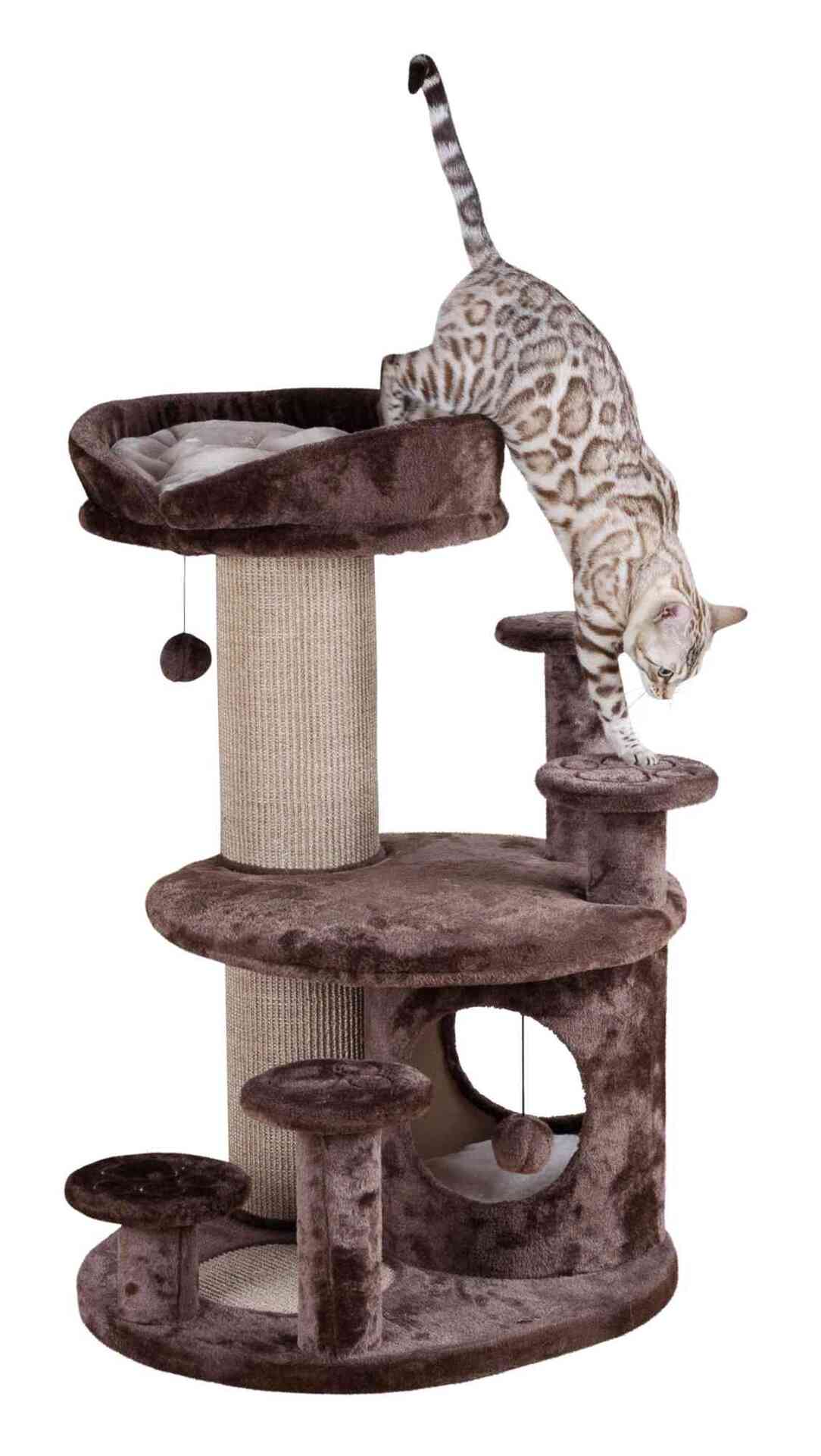 Kratzbaum Emil bei leitermann.de günstig kaufen Kratzbaum Emil