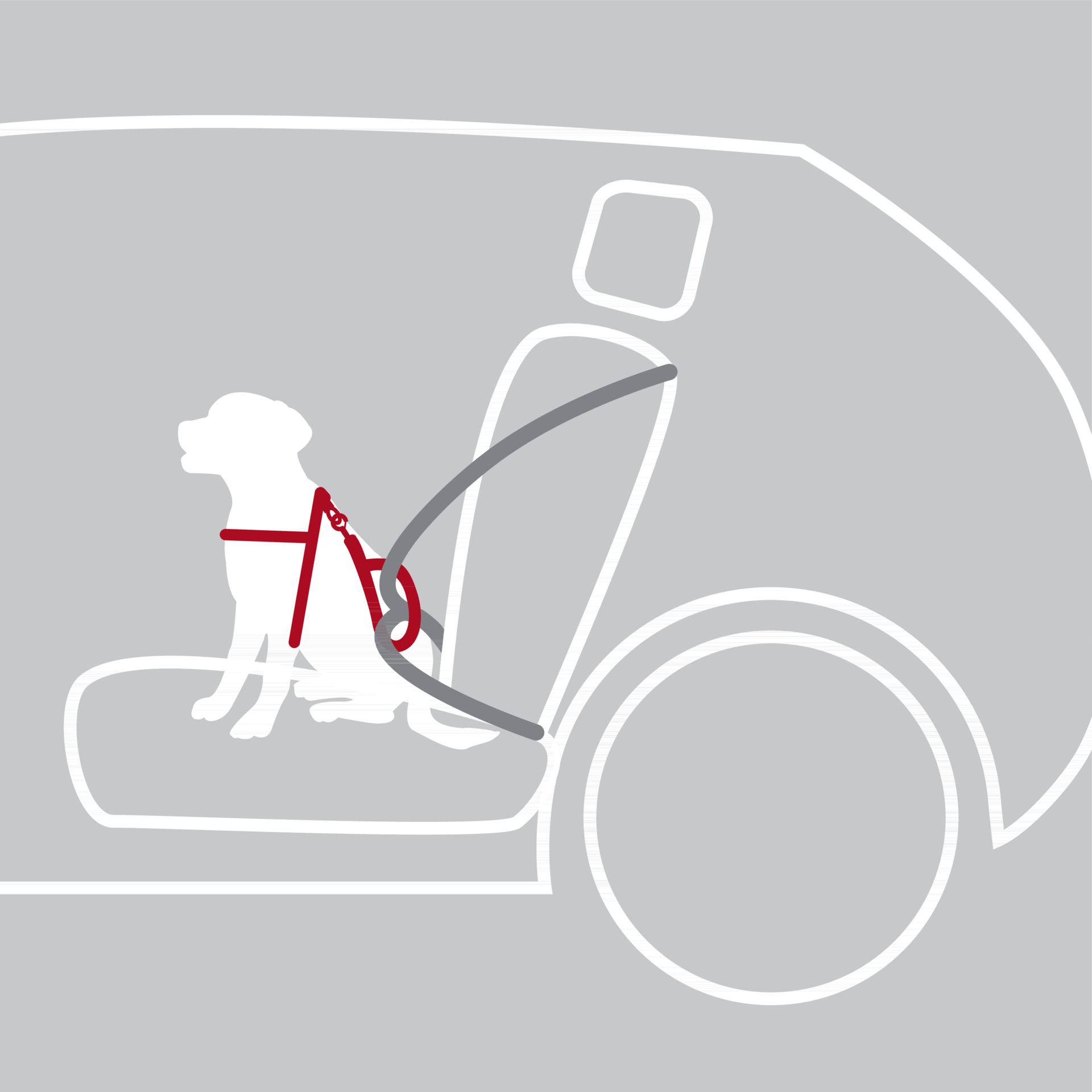 Auto-Geschirr Comfort bei leitermann.de günstig kaufen Auto-Geschirr Comfort