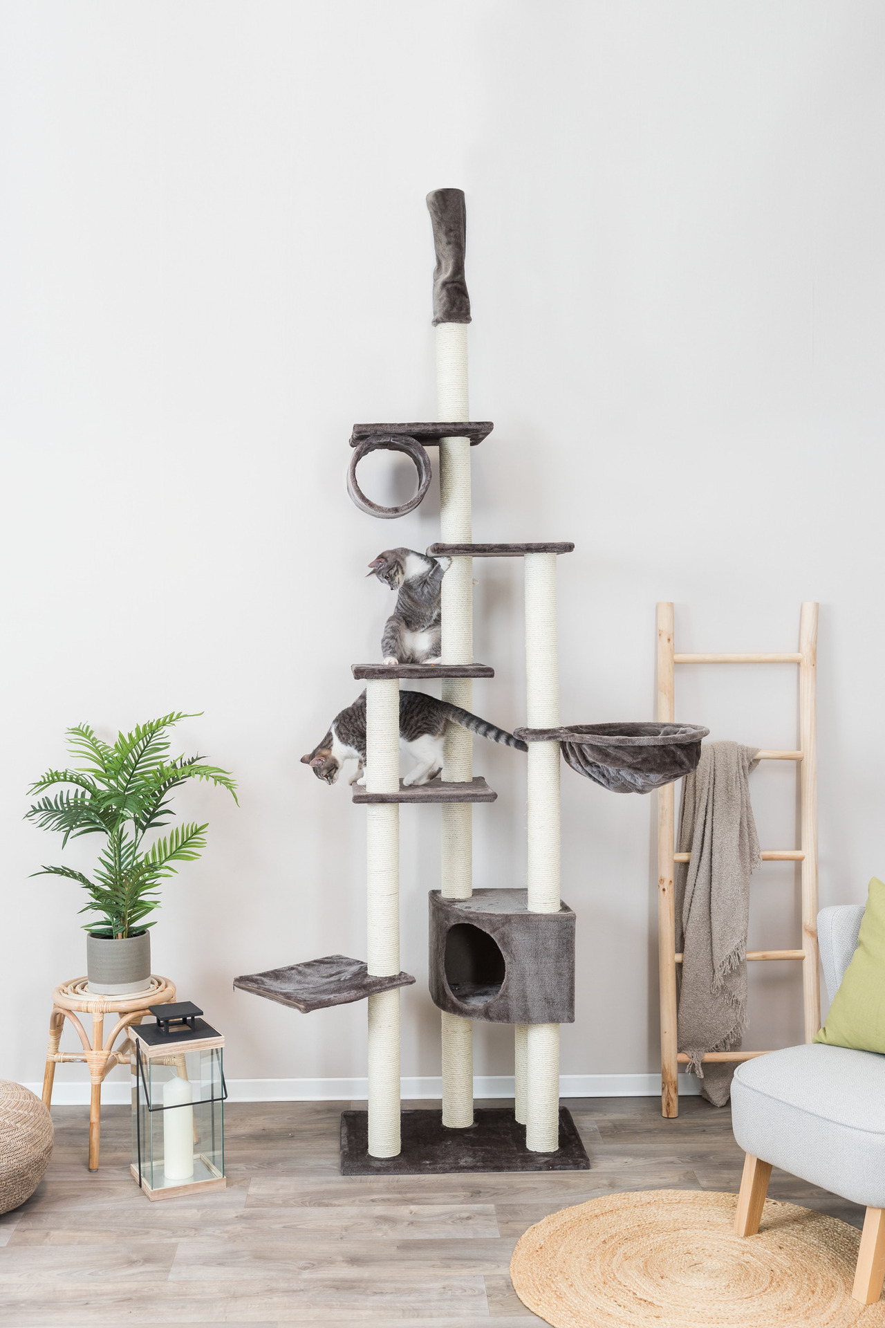 Kratzbaum Madrid, deckenhoch