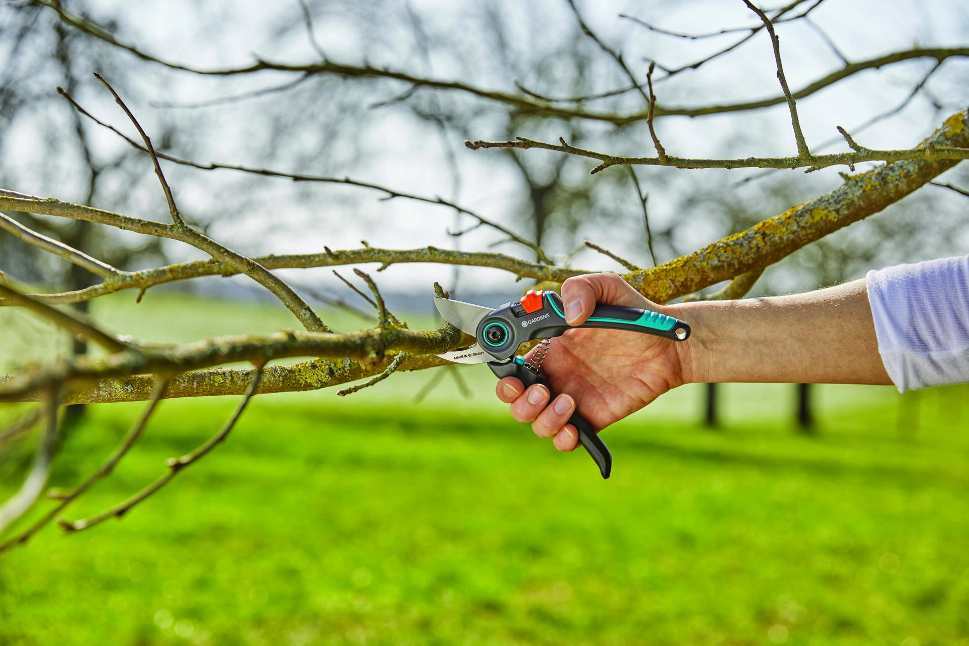 Gartenschere ExpertCut bei leitermann.de günstig kaufen Gartenschere ExpertCut