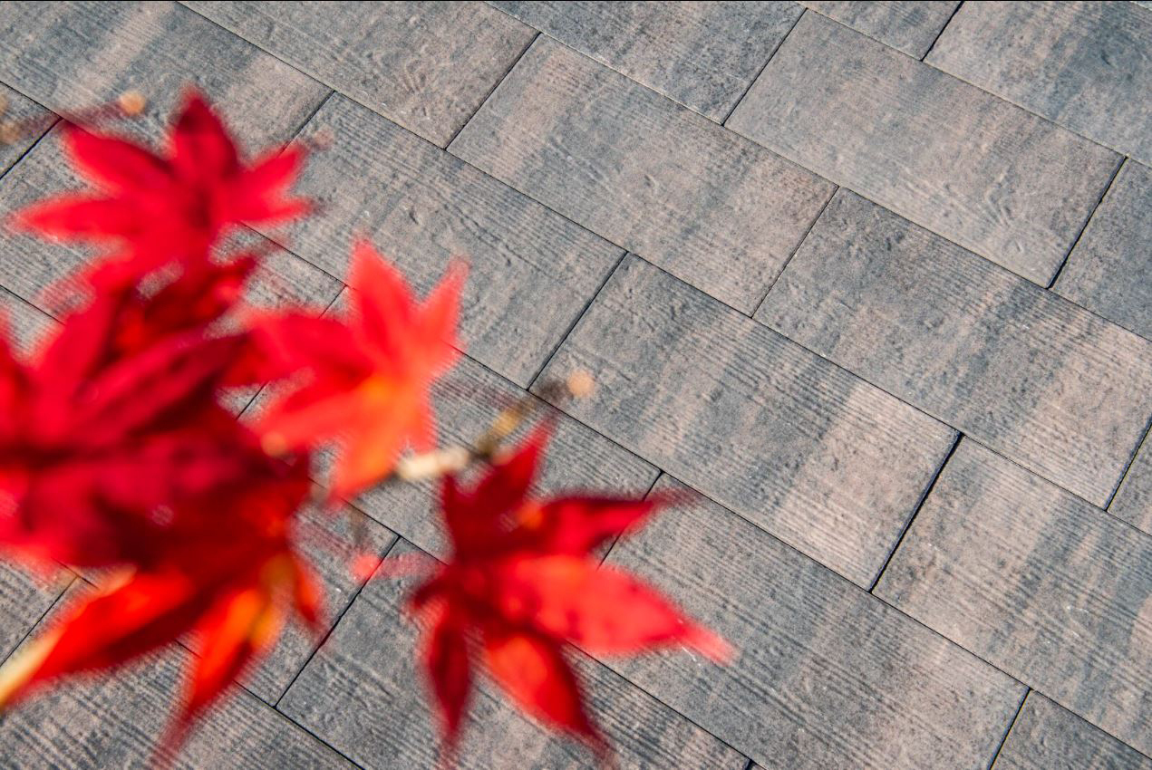 Terrassenplatte Natura Vigo, 60x30x4cm