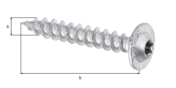 Holzschraube ZnAl verpackt à 50 St.