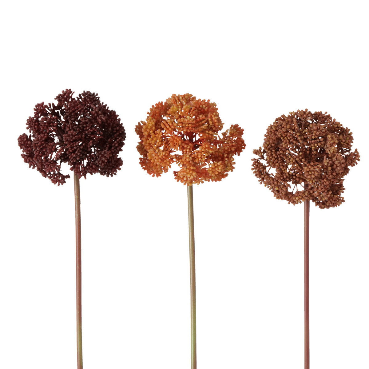 Stielblume 3-fach sortiert bei leitermann.de günstig kaufen Stielblume 3-fach sortiert