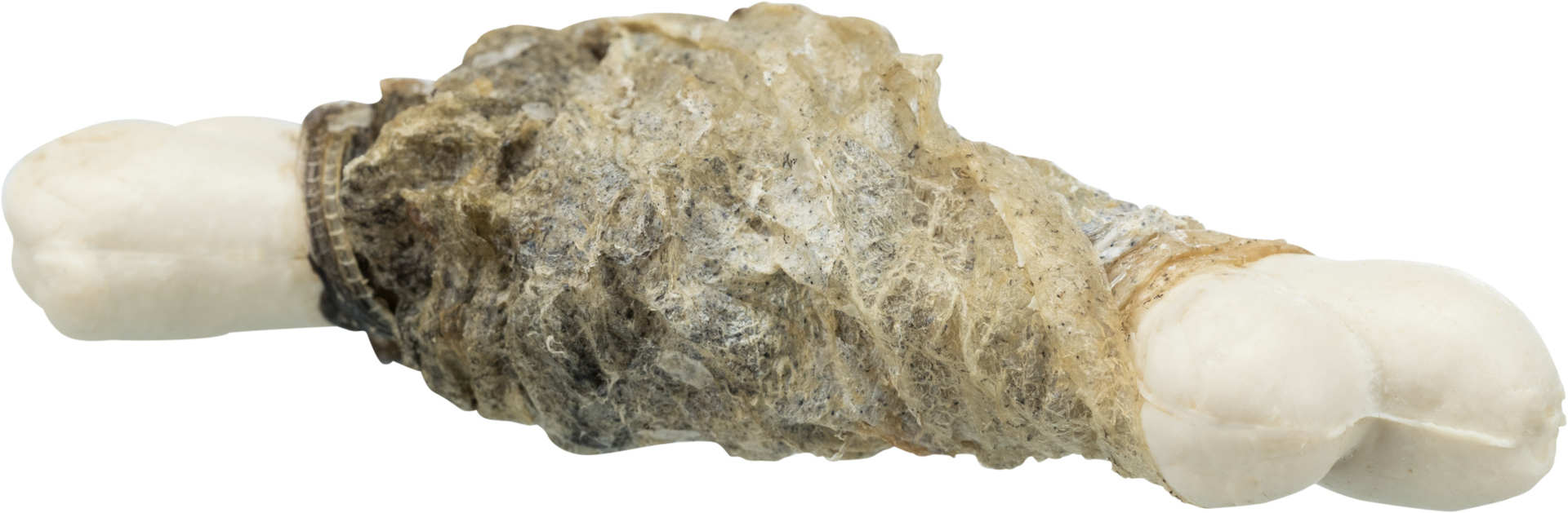 PREMIO Fishies bei leitermann.de günstig kaufen PREMIO Fishies