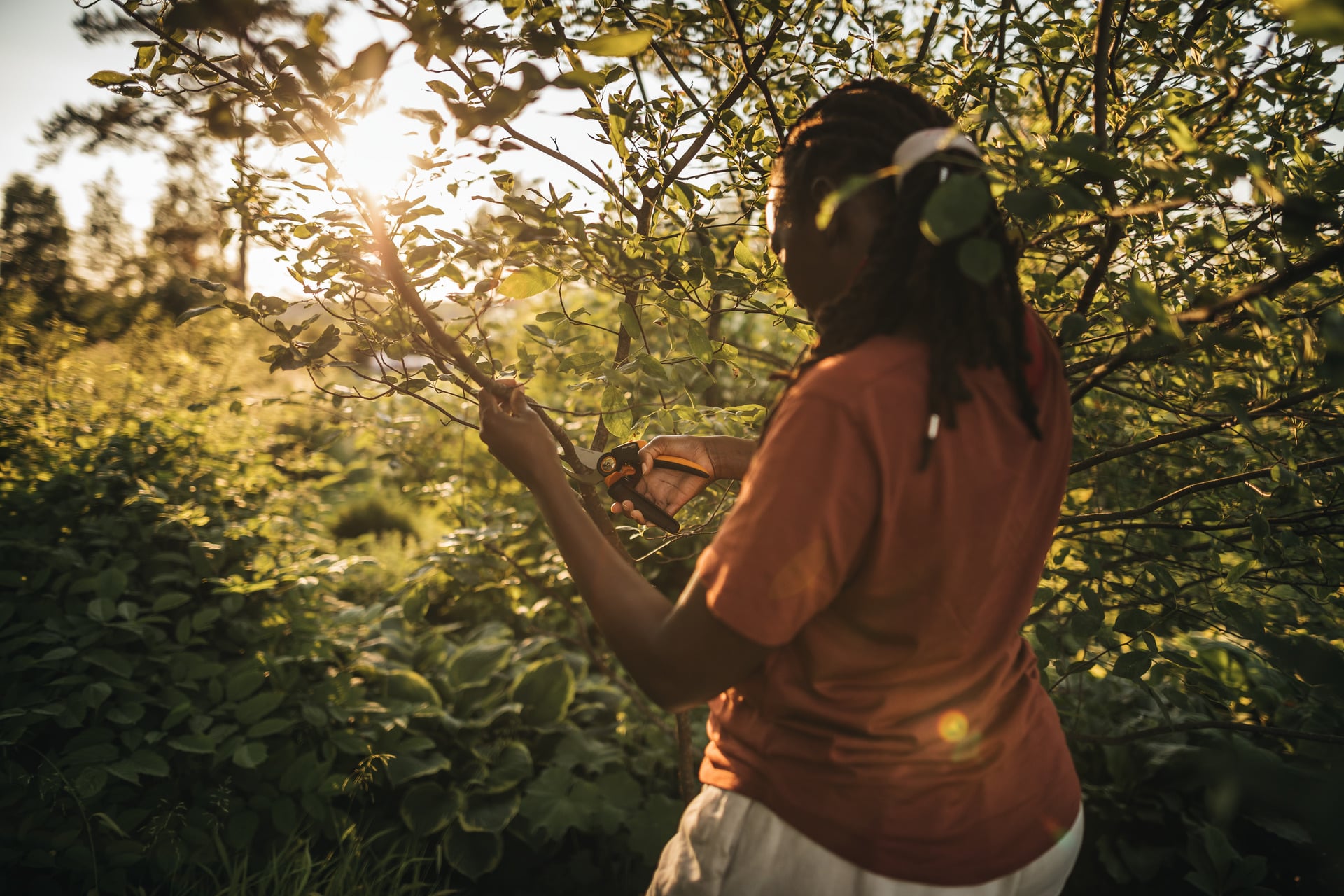 X-series Bypass-Rollgriff-Gartenschere L, P961