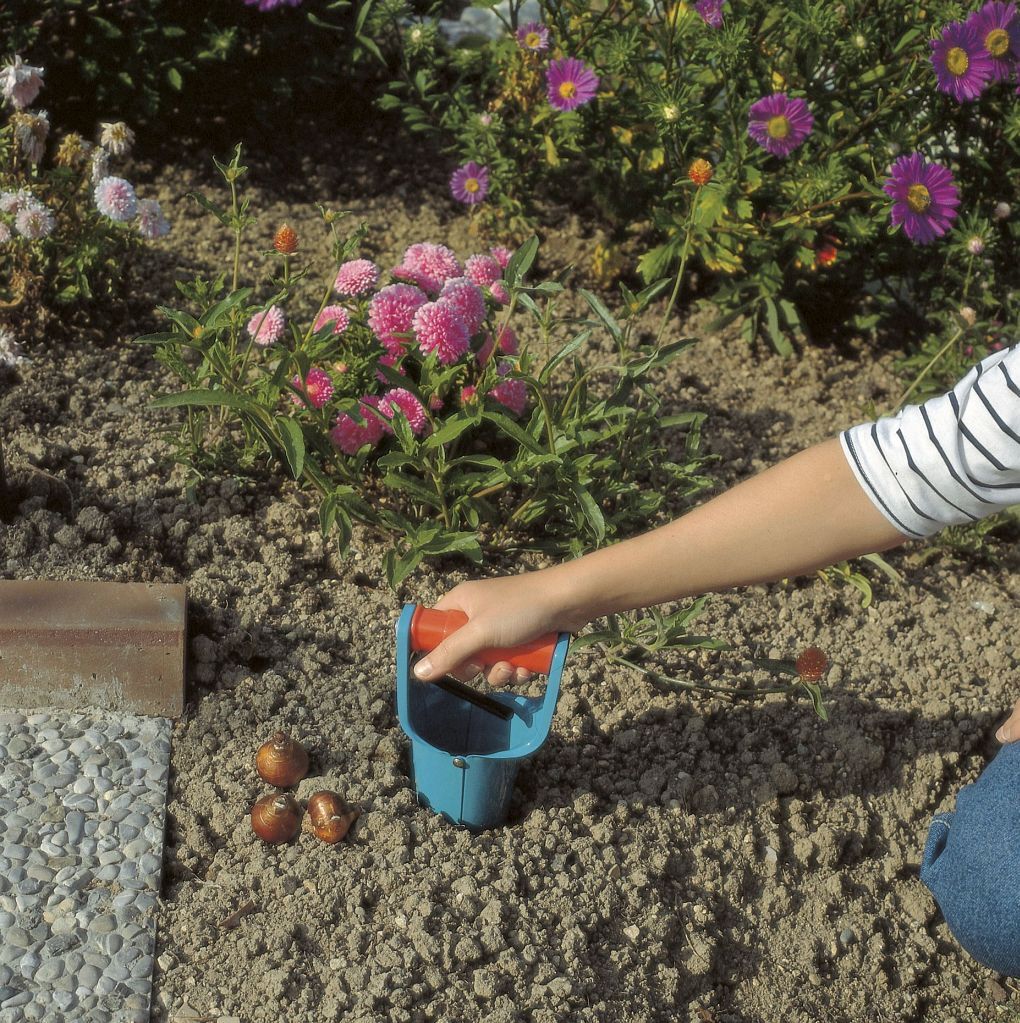 Blumenzwiebelpflanzer Automatik bei leitermann.de günstig kaufen Blumenzwiebelpflanzer Automatik