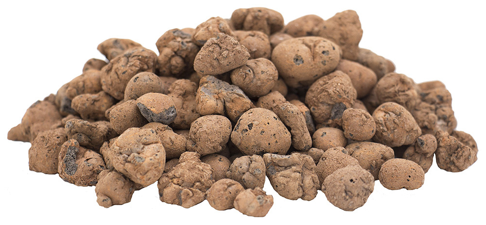 Tongranulat Blähton