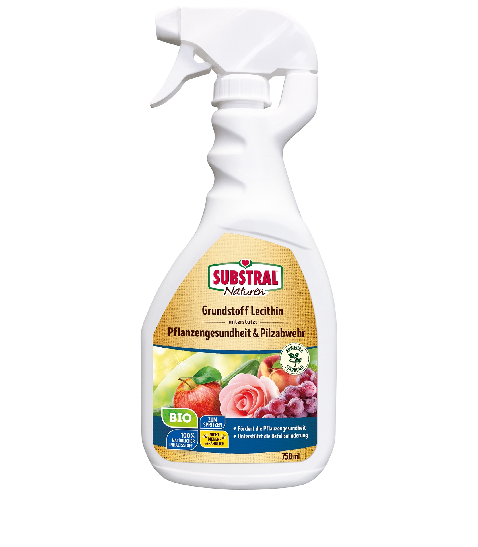 Grundstoff Lecithin Spray
