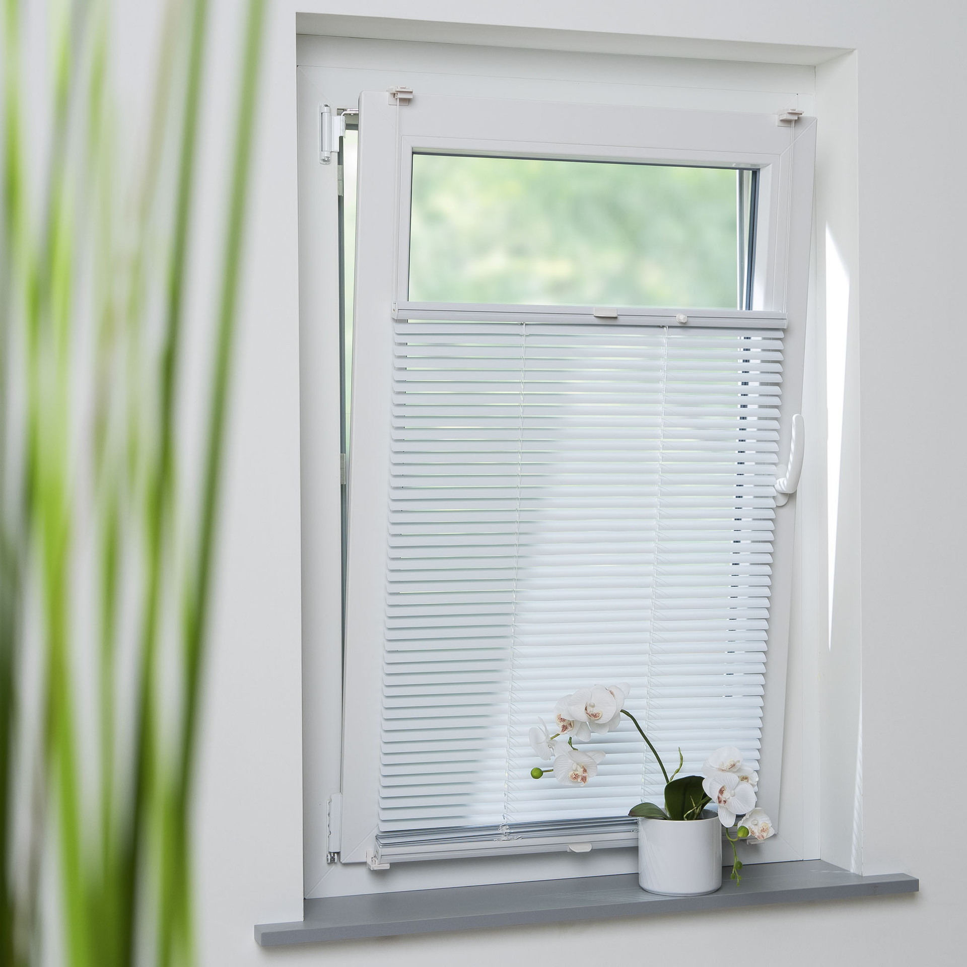 Klemmfix-Jalousie verspannt bei leitermann.de günstig kaufen Klemmfix-Jalousie verspannt