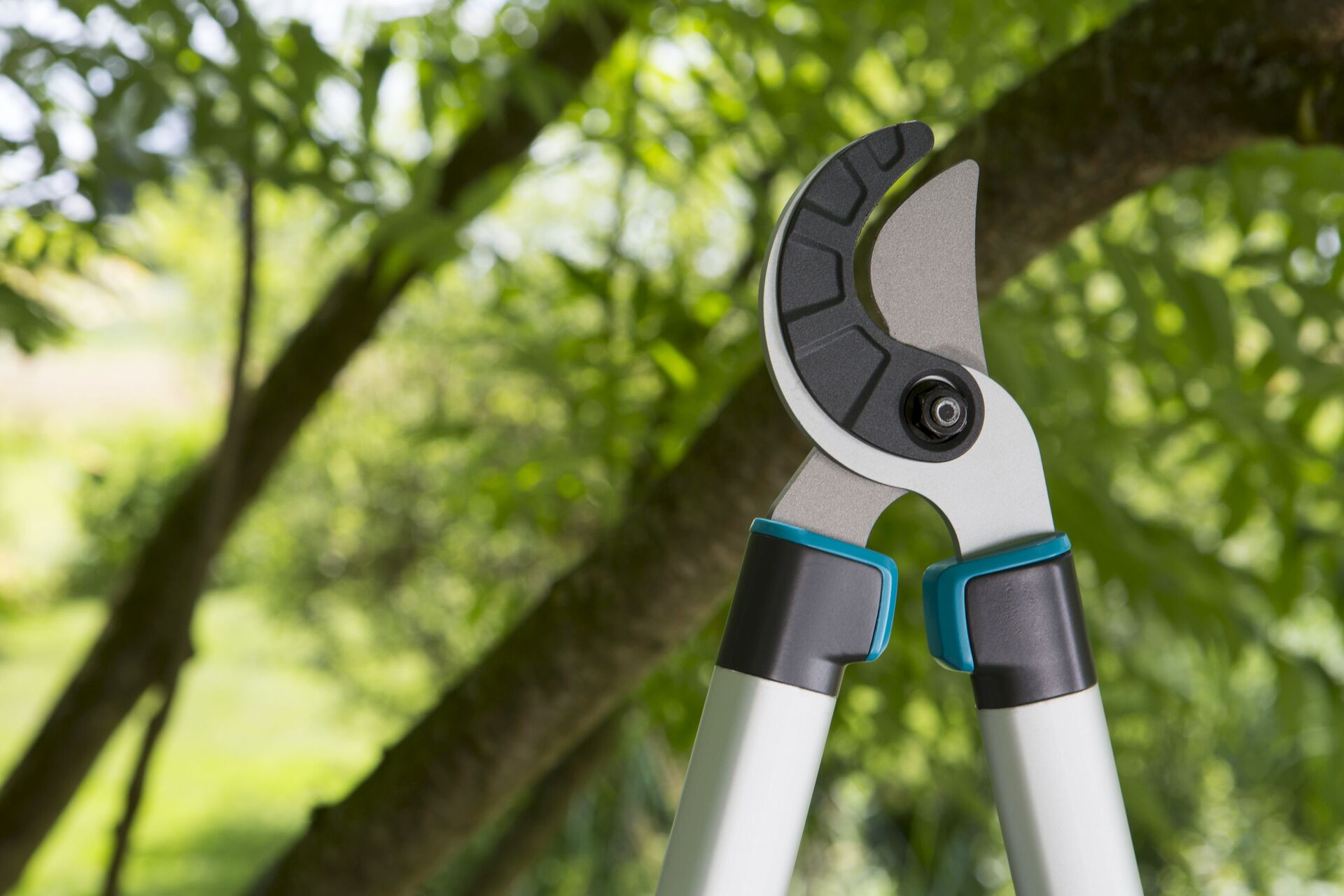 Astschere EasyCut 680 A