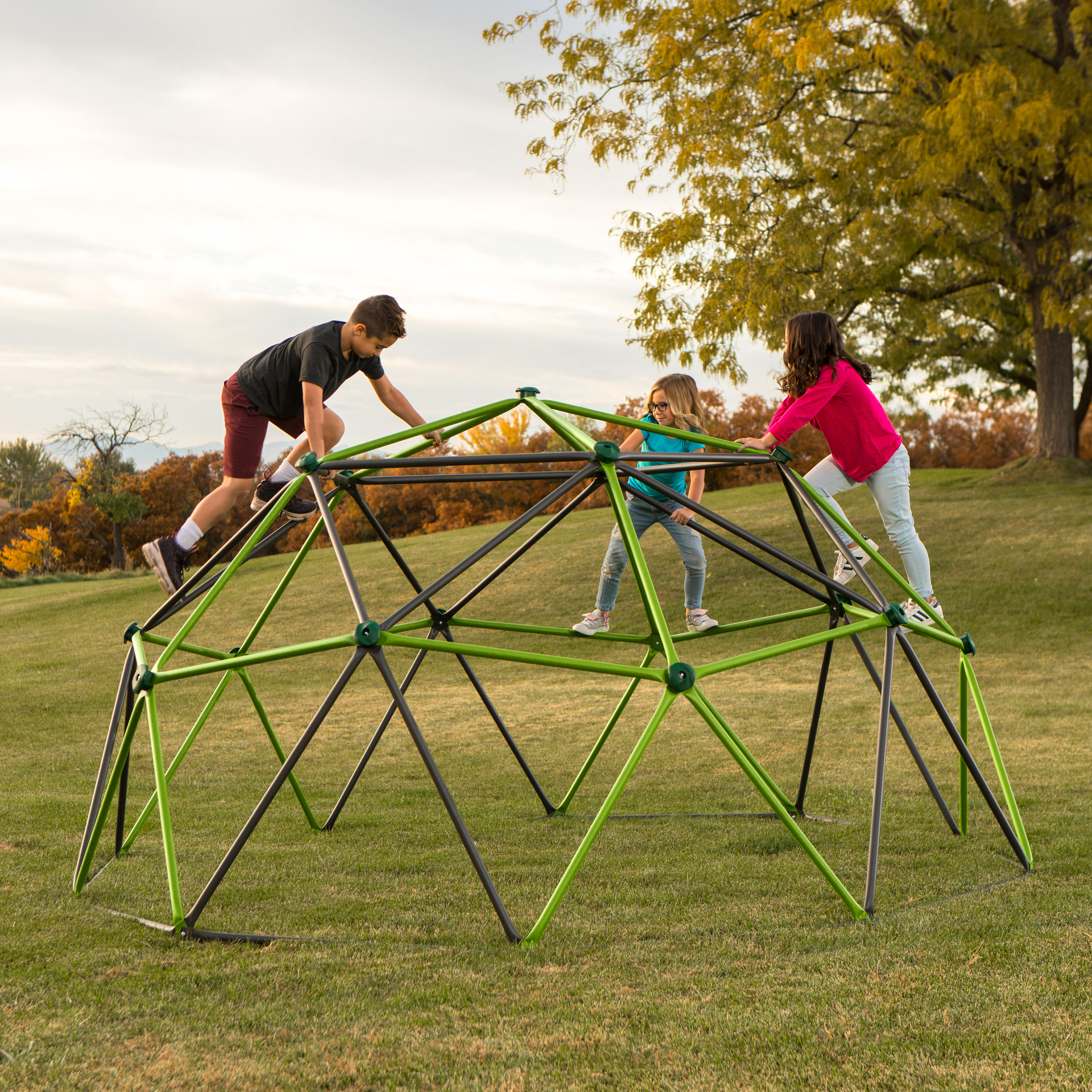 Geodome Kletterkugel grün/bronze 335x168cm bei leitermann.de günstig kaufen Geodome Kletterkugel grün/bronze 335x168cm