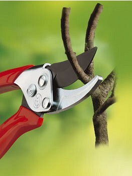 Gartenschere Aktion RR-EN