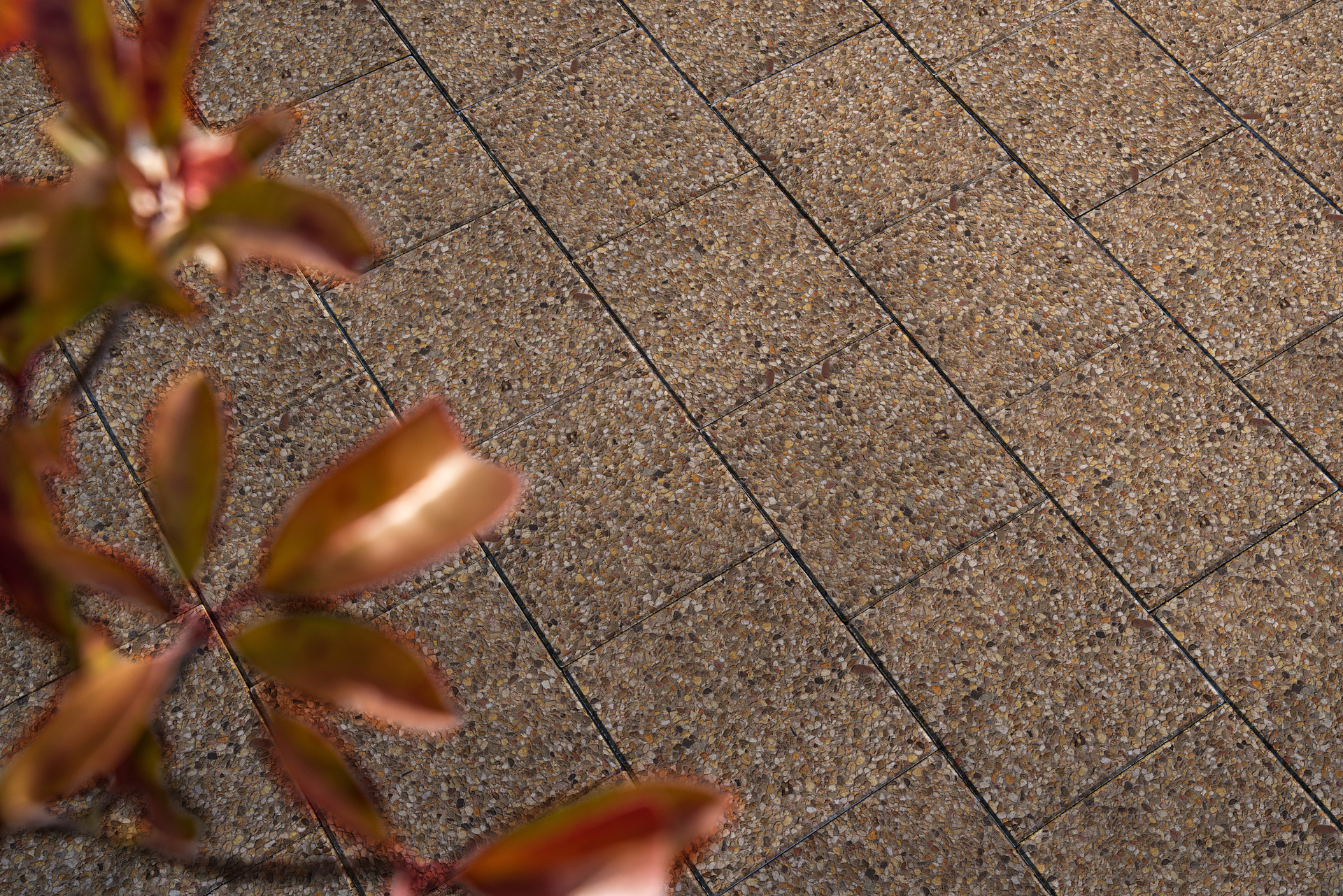 Waschbeton-Terrassenplatte