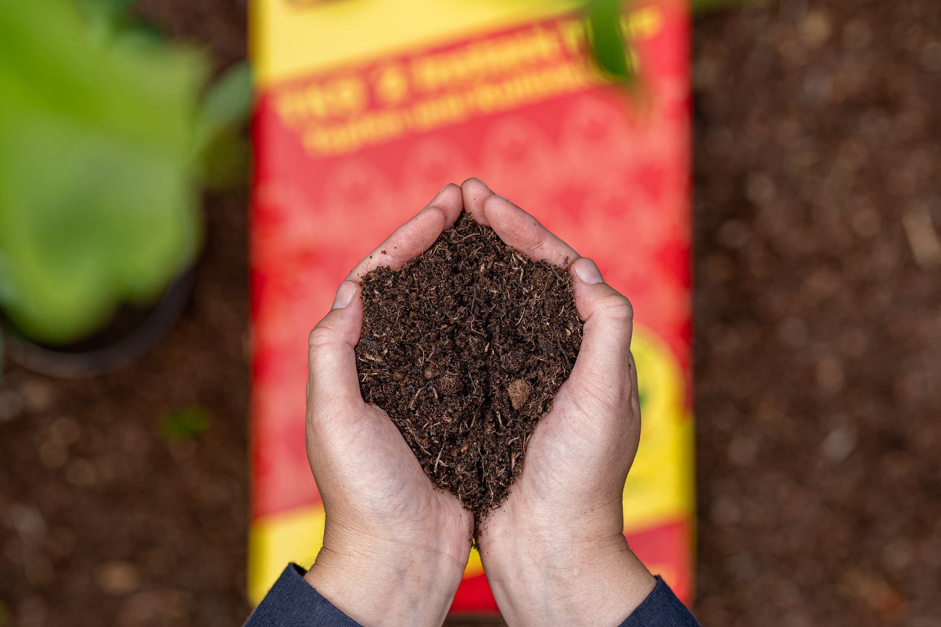 TKS 2 Kultursubstrat bei leitermann.de günstig kaufen TKS 2 Kultursubstrat