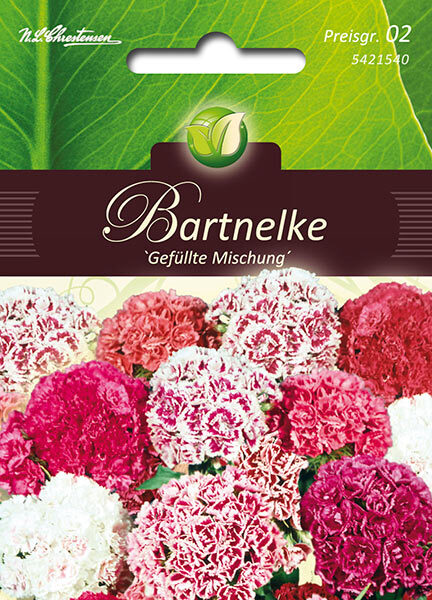 Dianthus - Bartnelken - gefülltblühend