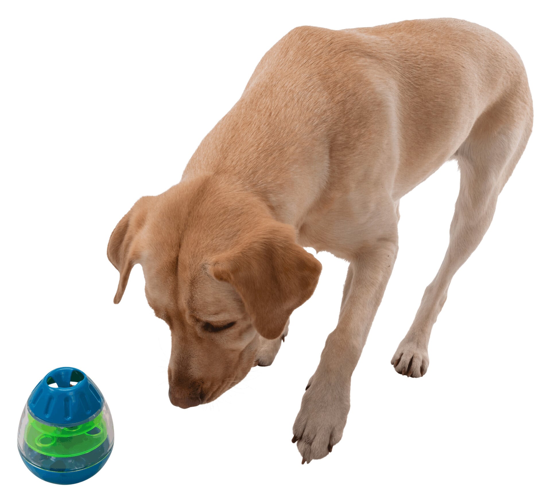 Steh-Auf-Snack-Ei Kunststoff 13cm bei leitermann.de günstig kaufen Steh-Auf-Snack-Ei Kunststoff 13cm