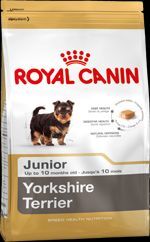 RC Breed Yorkshire Terrier 29 Junior