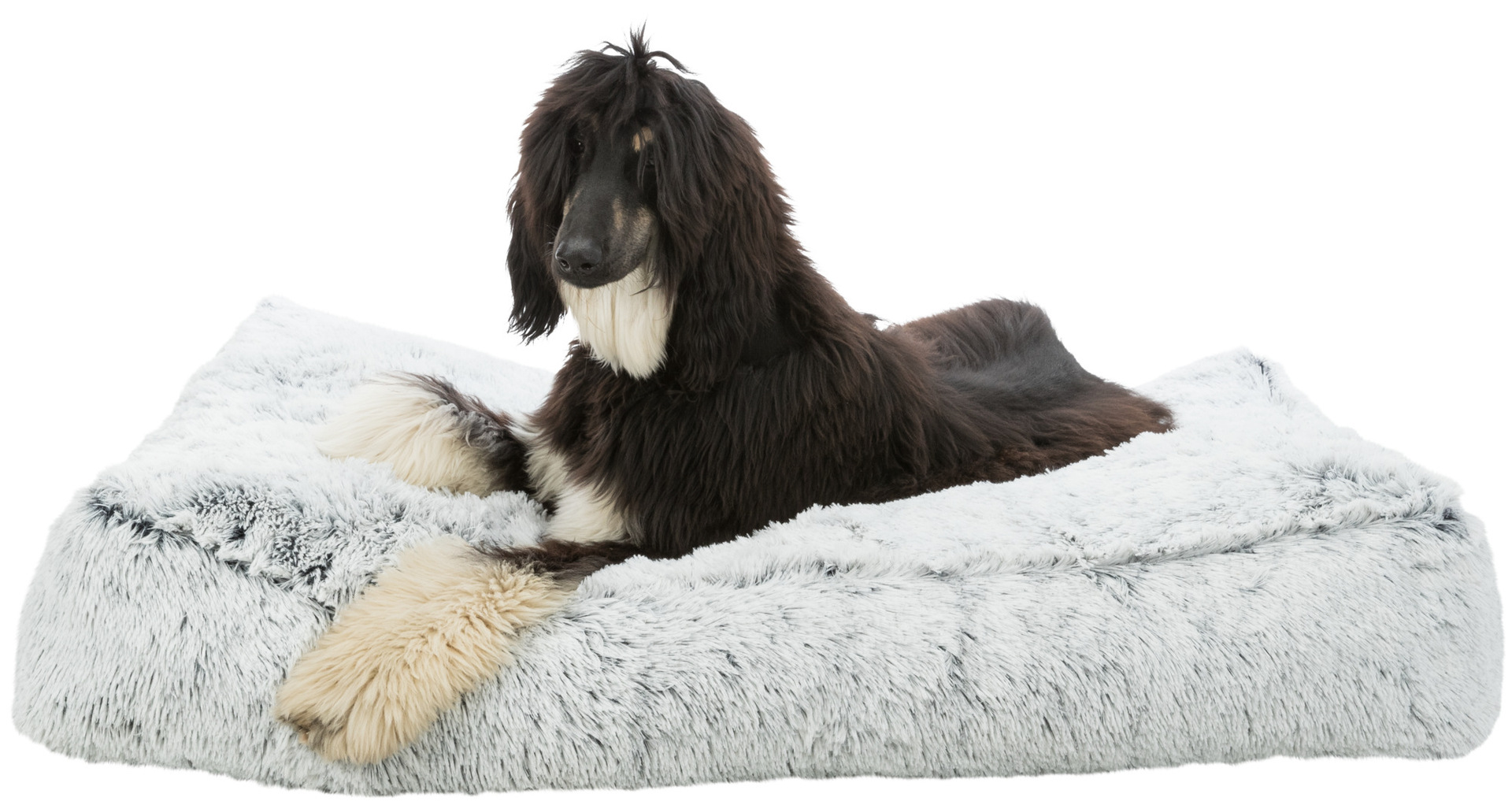 Kissen Harvey bei leitermann.de günstig kaufen Kissen Harvey