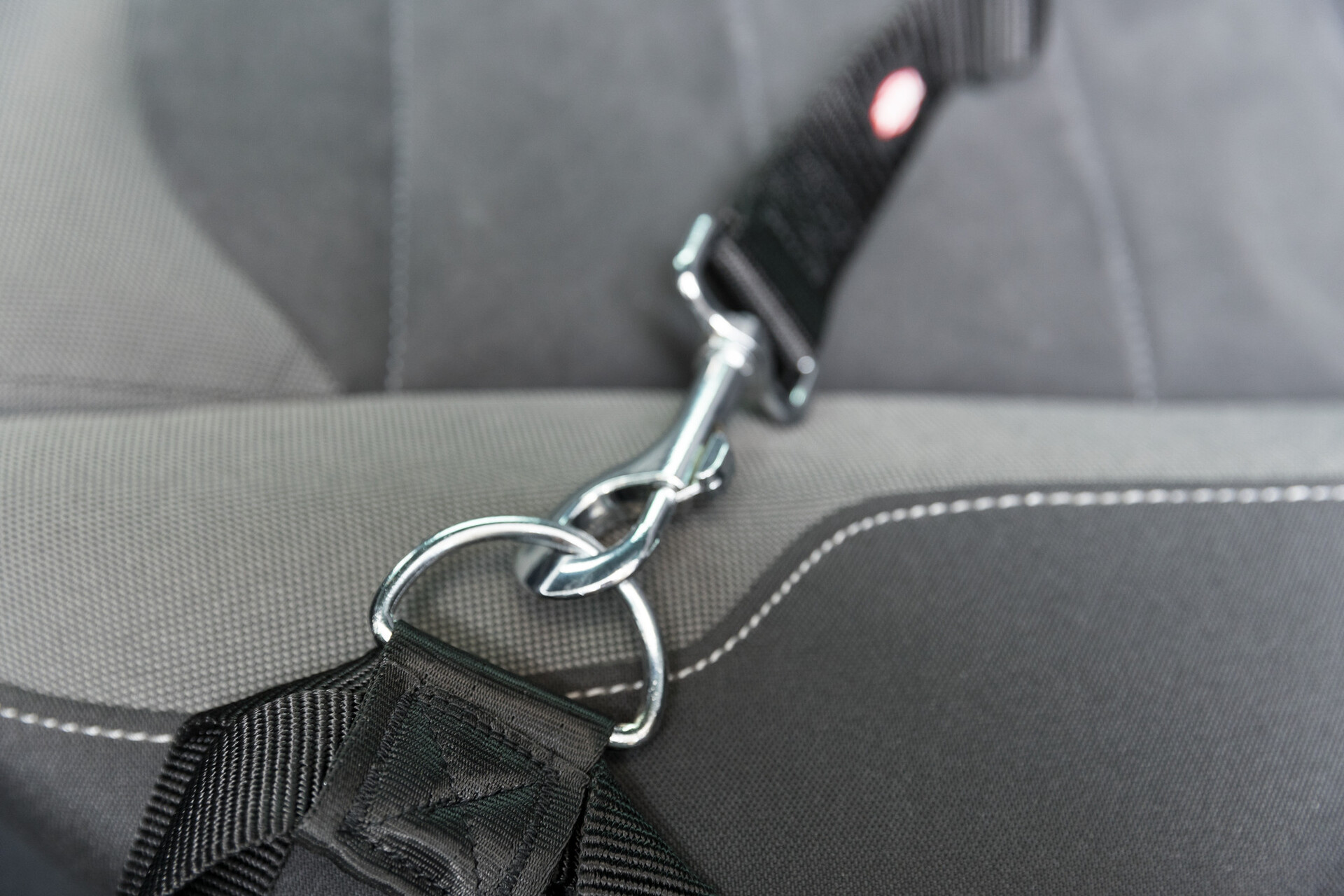 Anschnallgurt bei leitermann.de günstig kaufen Anschnallgurt