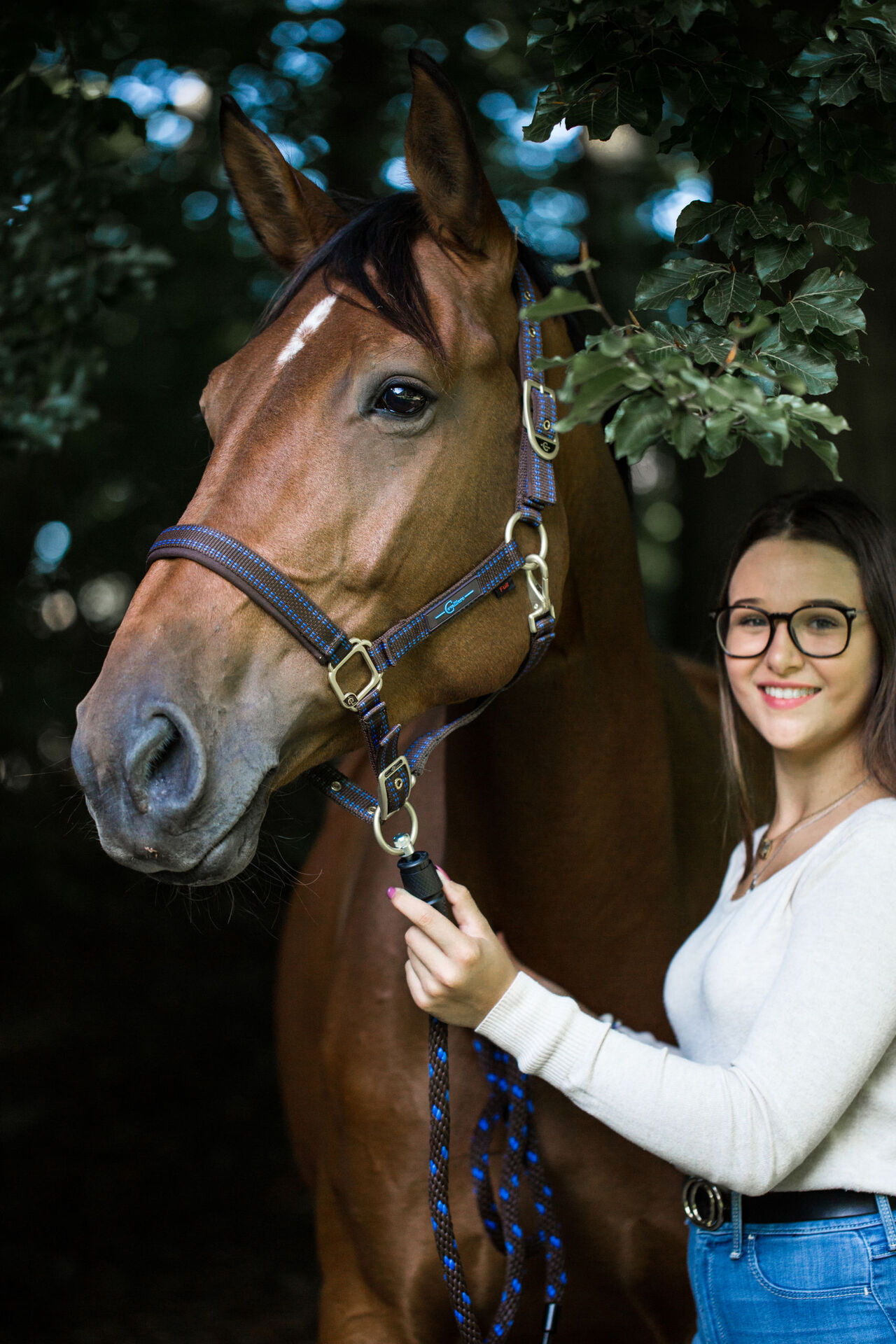 Pferdehalfter für Goleygo-System