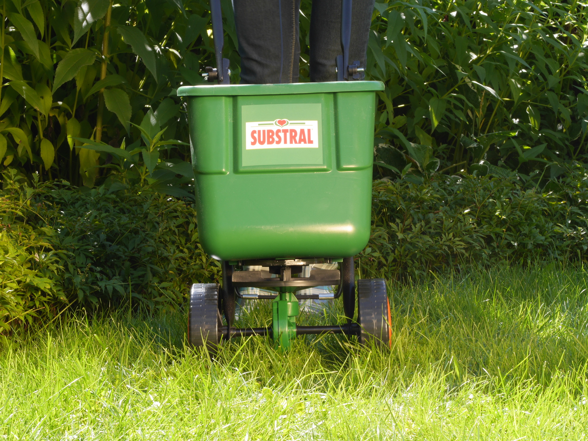 Rasendünger mit Langzeitwirkung