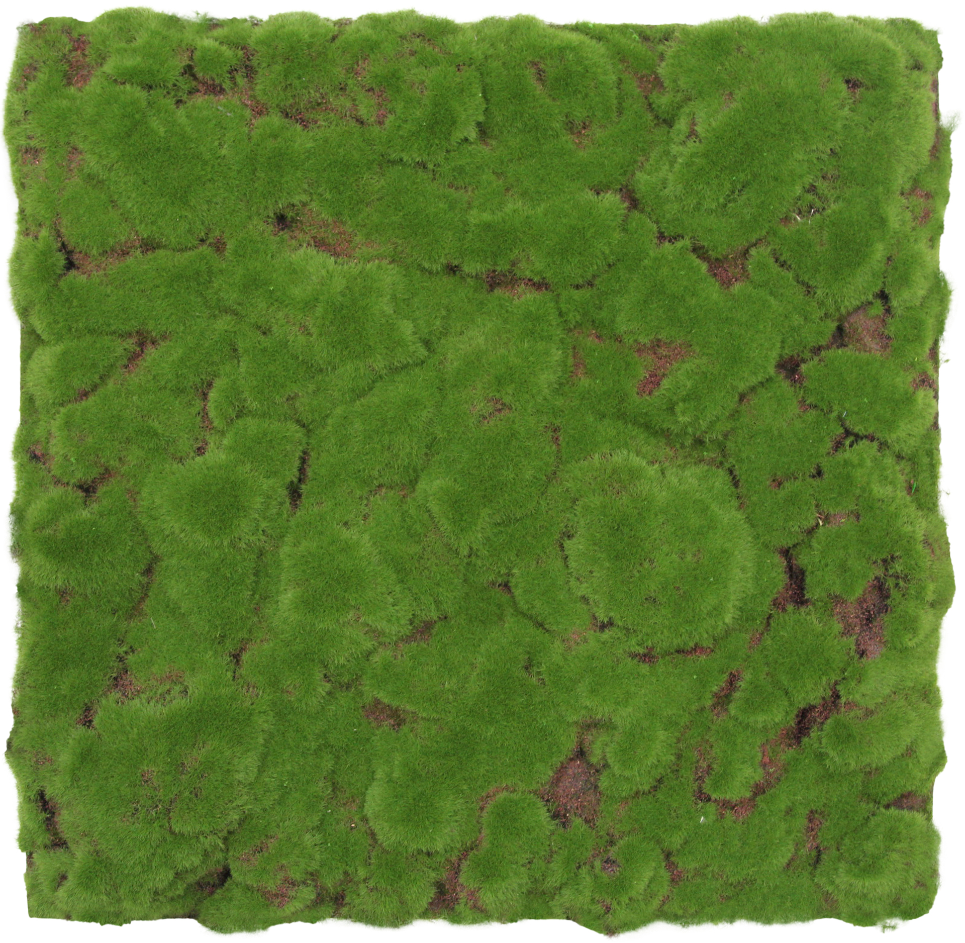 Wandpaneel Modular Wall Flora