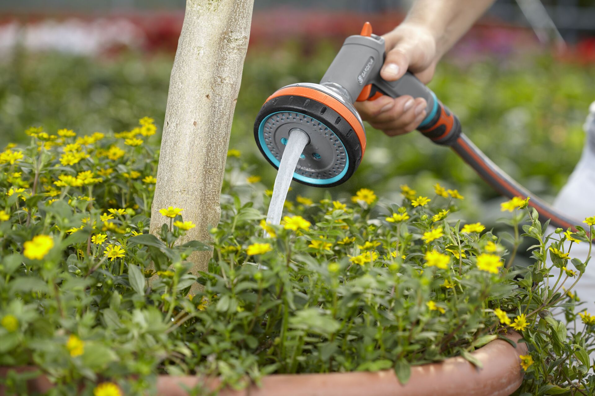 Comfort Multibrause bei leitermann.de günstig kaufen Comfort Multibrause