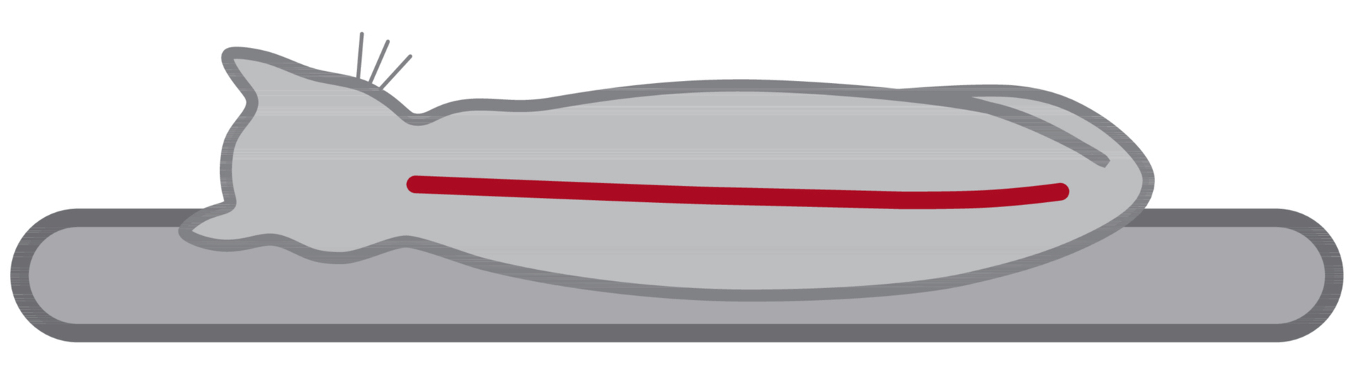 Kratzbaum Emil bei leitermann.de günstig kaufen Kratzbaum Emil