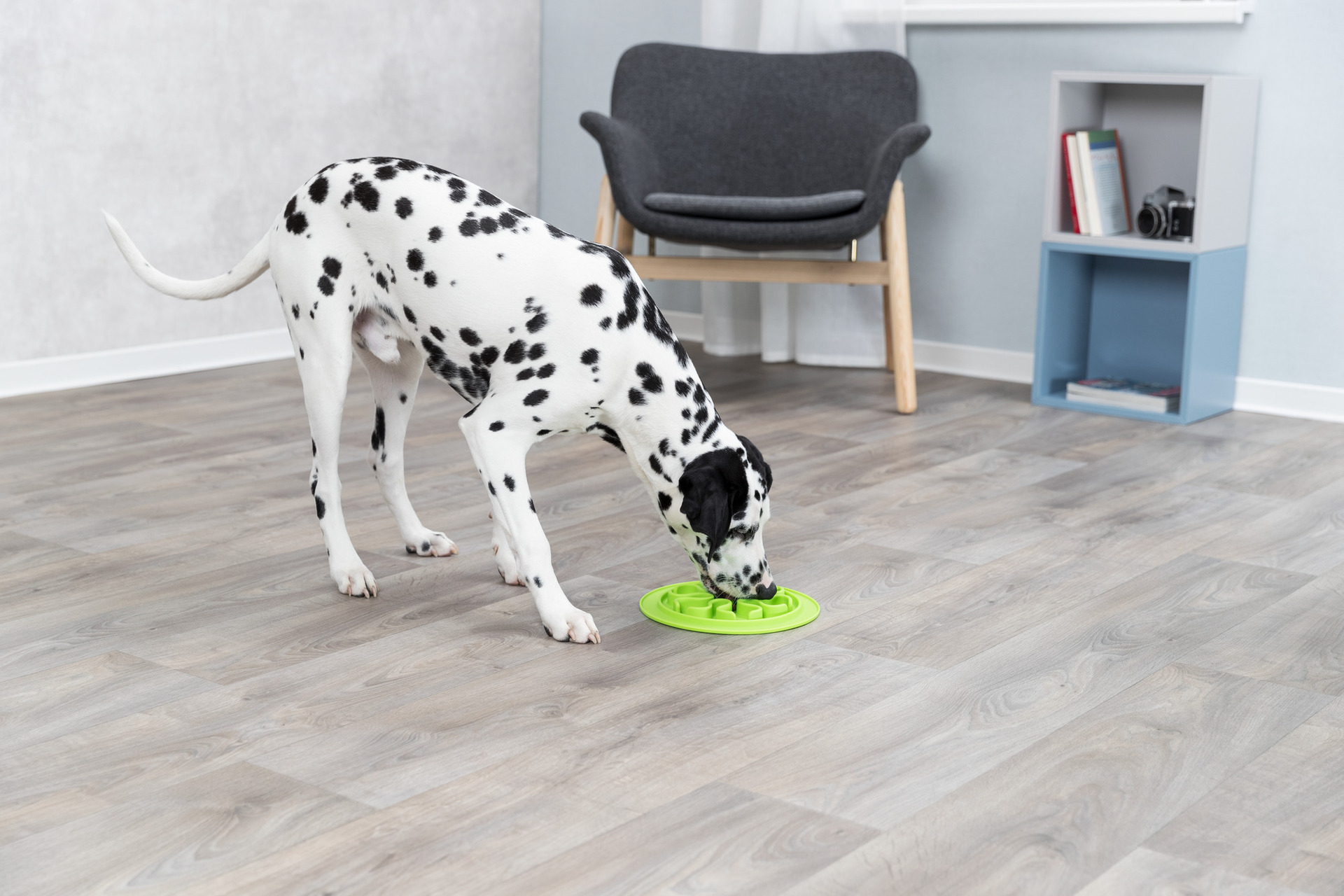 Slow Feeding Futtermatte